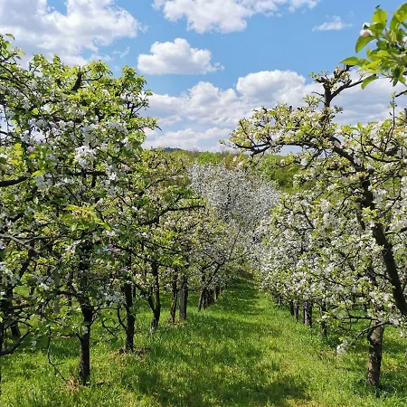 Weekend House & Dubrave Semesterbostad *